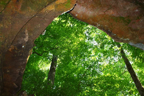 Höhlenquelle - natchez trace parkway — Stockfoto