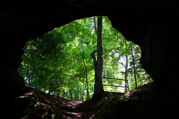 Jaskinia wiosna - natchez ślad parkway — Zdjęcie stockowe