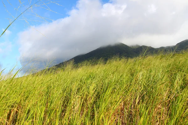 Mount Liamuiga in Saint Kitts — Stock Photo, Image