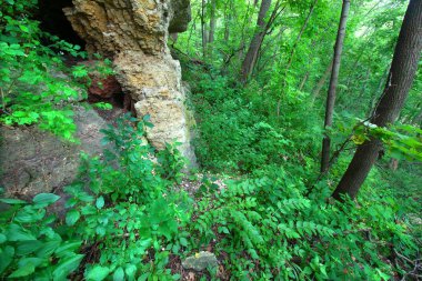 Mississippi palisades Illinois