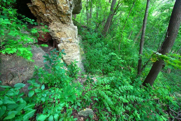 Mississippi Palisades de Illinois — Fotografia de Stock