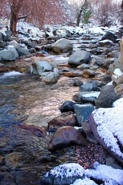 白水河国家森林科罗拉多 — 图库照片