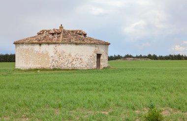 House için güvercinlere