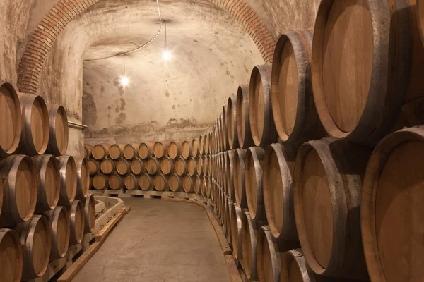 Barrels of wine Stock Image