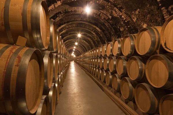 Бочки вина в подвале — стоковое фото