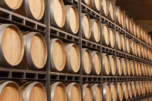 Бочки вина в подвале — стоковое фото