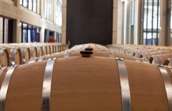 Barris de vinho na adega — Fotografia de Stock