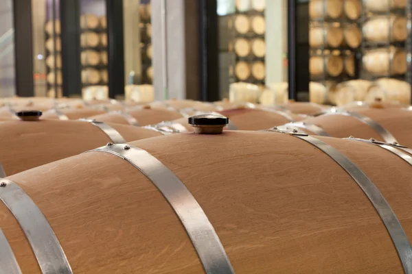 Barris de vinho na adega — Fotografia de Stock