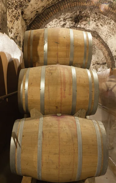 Бочки с вином в подвале — стоковое фото