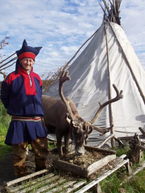 adam ve Ren geyiği lapland içinde