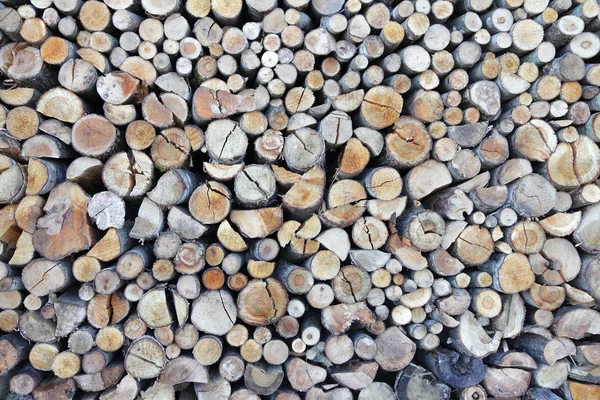 stock image Wood logs