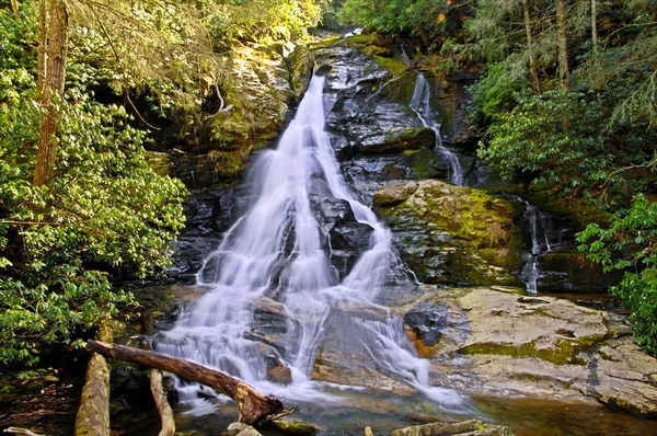 stock image Waterfall and Rhododendron