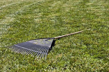 Rake in the Grass clipart