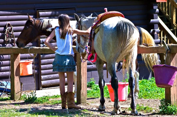 少女と馬の納屋で — ストック写真
