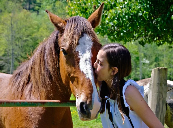 Молодая девушка и лошадь — стоковое фото