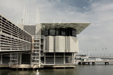 Lisbon Oceanarium