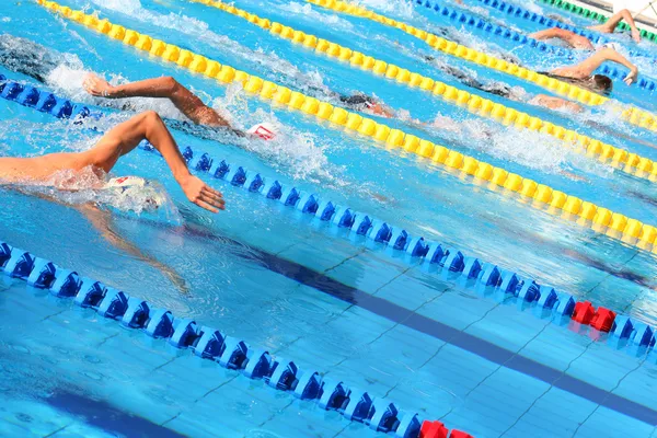 Nadadores. —  Fotos de Stock