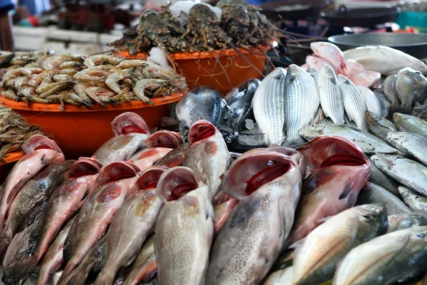 stock image Fish market