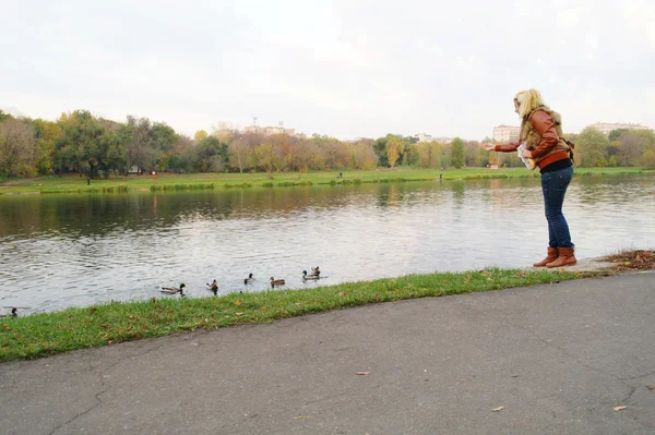 A girl feeds the ducks at the pond in the park in autumn — Stock Photo, Image