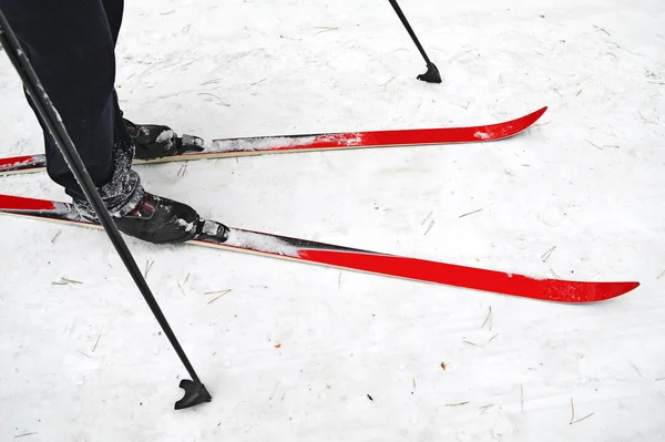 stock image Cross-country skiing at the feet of the men in the park