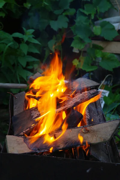 Un fuego, ardiendo por la noche en el fondo del follaje — Foto de Stock