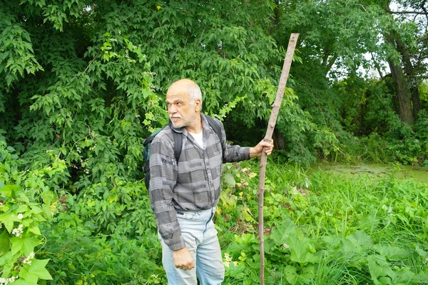 Starszy mężczyzna z plecak turystyczny przechodzi gęstwiny lasu — Zdjęcie stockowe