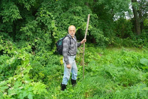 Un anciano con una mochila de turista entra en los matorrales del bosque — Foto de Stock