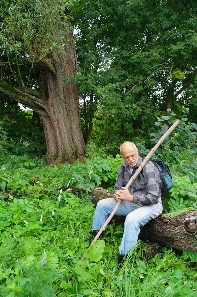 Yaşlı bir adam bir sırt çantası turist ile orman çalılıkları gider. — Stok fotoğraf