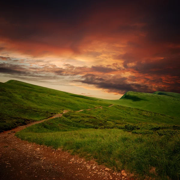 Path through a mystery mountain meadow — Stock Photo, Image