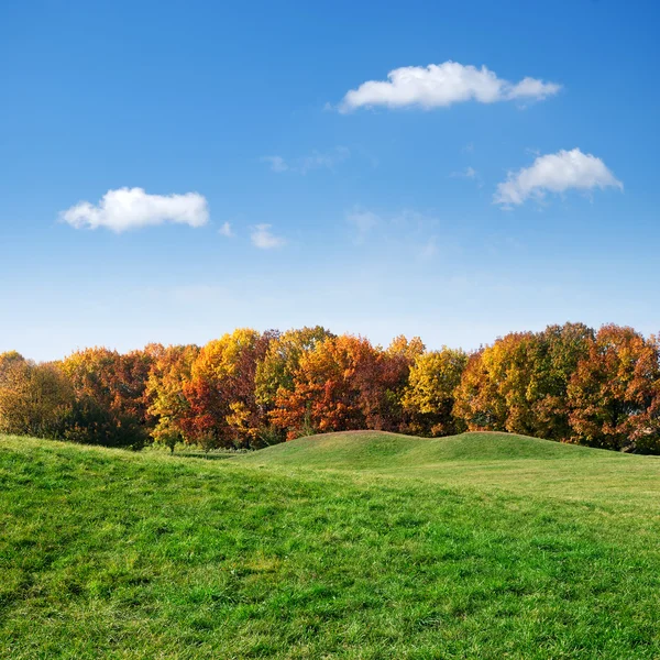 绿色的草坪和多彩的秋天的树木 — 图库照片