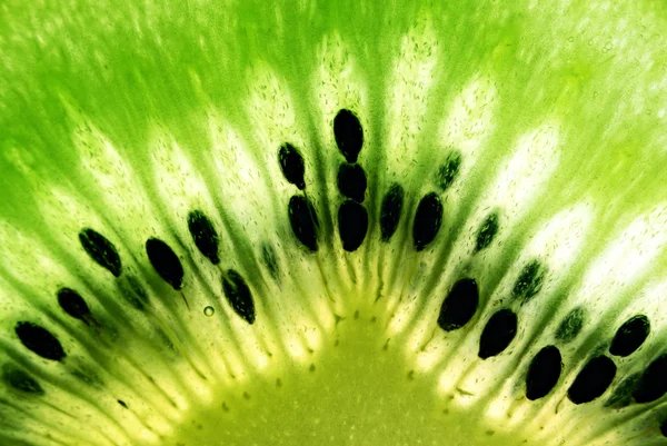 stock image Macro photo of kiwi fruit