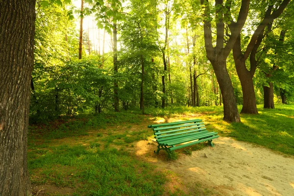 朝の公園のベンチ — ストック写真