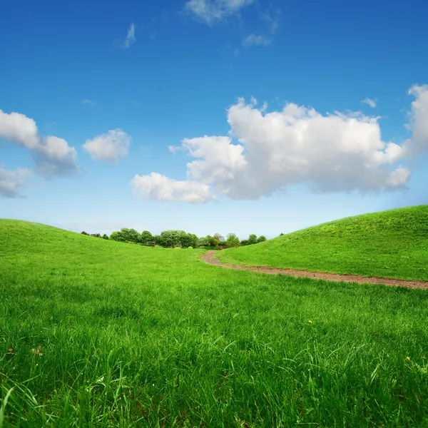 Grassy green hills and lane to remote trees — Stock Photo, Image