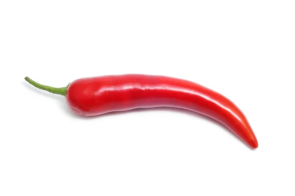 Red chili pepper Royalty Free Stock Images