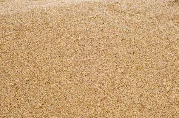Fond de sable — Photo