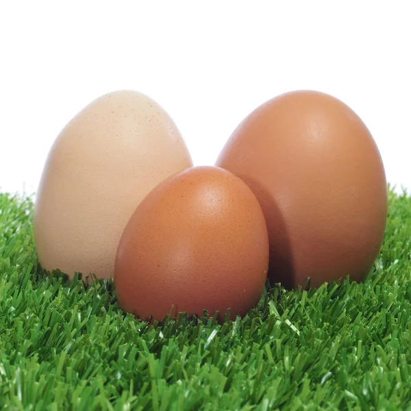 Яйца на траве — стоковое фото