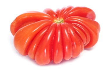 Zapotec heirloom tomato clipart