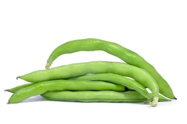 Broad beans clipart