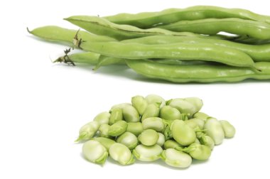 Broad bean clipart