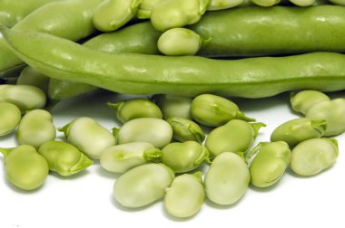 Broad bean clipart