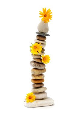 Zen stones and flower clipart