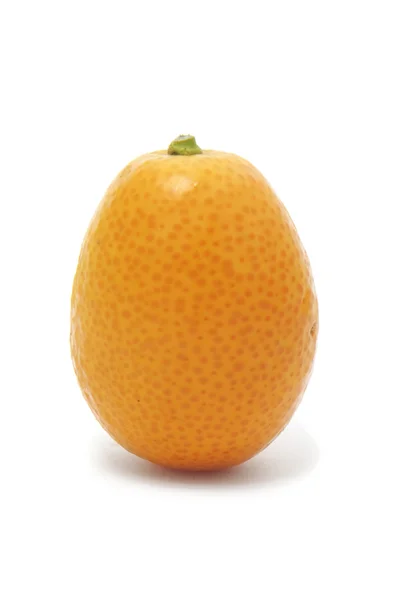 Kumquat. — Fotografia de Stock