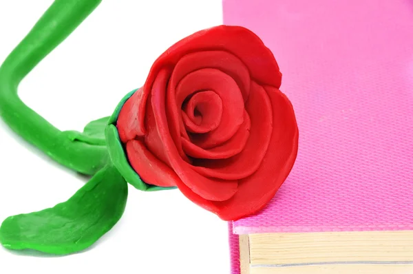 Růže a knihy den — Stock fotografie