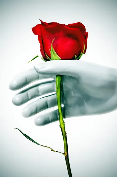 Δώστε ένα τριαντάφυλλο — Φωτογραφία Αρχείου