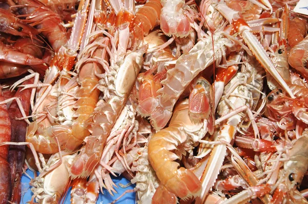 Frutti di mare — Foto Stock