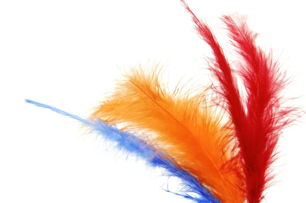 Penas coloridas — Fotografia de Stock