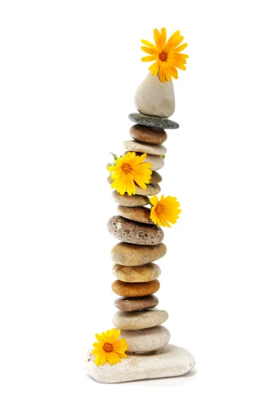 Zen pedras e flores — Fotografia de Stock