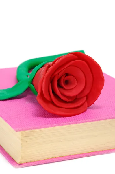 Dia de rosas e livros — Fotografia de Stock