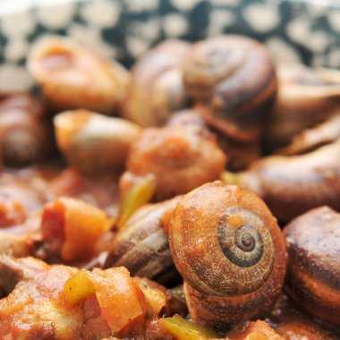Spanish cooked snails in sauce clipart