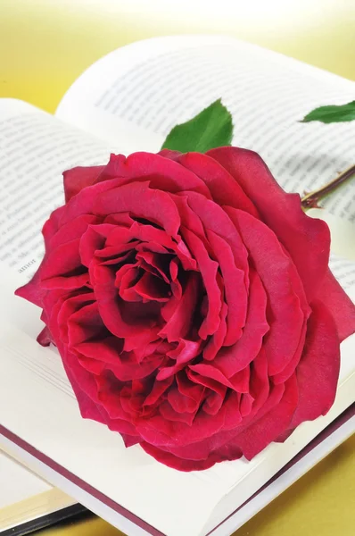Роза и книга — стоковое фото